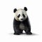 Photorealistic Panda Bear: A Captivating Advertisement-inspired Character Design