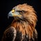 Photorealistic Portrait Of An Eagle With Orange Beak