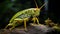 Photorealistic Portrait Of A Green Grasshopper On A Rock