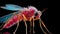 Photorealistic Portraits Of A Mosquito Under The Microscope