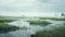 Photorealistic Rendering Of Foggy Marsh Wetland