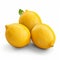 Photorealistic Rendering Of Three Lemon Fruits On White Background