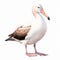 Photorealistic Rendering Of A White Bird With Long Reddish Feathers And A White Beak