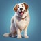 Photorealistic Rendering Of White And Brown Dog From The Secret Life Of Pets In Uhd