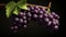 Photorealistic Sculpted Purple Grapes On Black Background