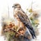 Photorealistic Watercolor Illustration Of A Hawk In Nature