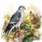 Photorealistic Watercolor Painting Of A Forest Hawk
