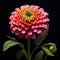 Photorealistic Zinnia: Organic Architecture With Native Brasilian Motifs