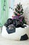 Photos Mastino breed dogs Neapolitana have a Christmas tree.