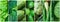 Photos with variety of green organic vegetables leafy greens in arranged on banner collage set