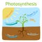 Photosynthesis diagram. Schematic vector illustration of the photosynthetic process.