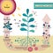 Photosynthesis process diagram