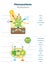 Photosynthesis worksheet vector illustration. Blank oxygen process template