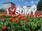 Photozone `I love Sumy` near the Sadko fountain in spring sunny day