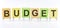 The phrase BUDGET is written on multi-colored stickers, on the white background. Business concept, strategy, planning