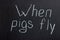 The phrase on the chalk board `When pigs fly`