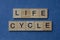 Phrase life cycle made from gray wooden letters