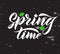 Phrase Spring Time with green leaves on chalkboard. Vector season quote.