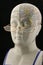 Phrenology head chart with reading glasses