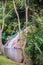 Phu Sang waterfall at Phayao province