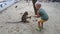 Phuket, Thailand - 2020. A blond boy takes a banana from his mother and feeds it to a monkey