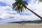 Phuket, Thailand. Tropical beach paradise with beach swing with girl in white shirt. Women relax on swing under coconut palm tree