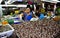 Phuket, Thailand: Woman Selling Shellfish