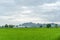 Phuphaman district mountain landscape with front green rice farm background