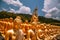 Phuttha Utthayan Makha Bucha Anusorn, Buddhism Memorial Park in Nakhon Nayok, Thailand