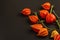 Physalis alkekengi or Chinese lantern on black stone concrete background