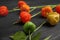 Physalis branches with colorful sepals on black wooden table, closeup