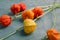 Physalis branches with colorful sepals on blue wooden table, closeup