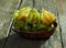 Physalis close-up on wood