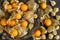 Physalis fruits