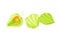 Physalis or Indian Ginseng Papery Husk or Calyx Enclosing Small Orange Fruit Vector Illustration