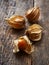 Physalis on old wooden background