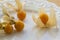 Physalis peruviana edible tasty physalis orange yellow fruits in dry husks on creased paper on white plate