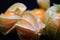 Physalis peruviana fruit. Close-up of golden berries