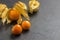 Physalis on slate plate