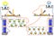 A physical experiment that demonstrates the movement of free electrons