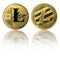 Physical Litecoin gold coin isolated on white with reflection