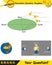 Physics, movements of the earth around the sun, formation of the seasons