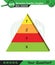 Physics, Vector Illustration of food chain - energy pyramid - educational infographic, question template