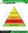 Physics, Vector Illustration of food chain - energy pyramid - educational infographic, question template