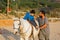 Physiotherapist assisting a child with disabilities in an equine therapy session.