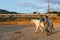 Physiotherapist having an equine therapy session with a child with a disability.