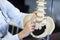 Physiotherapist holding a spine model