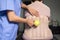 Physiotherapist massage back patient with ball at hospital,Physical therapy concept