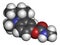 Physostigmine alkaloid molecule. Present in calabar bean and manchineel tree, acts as acetylcholinesterase inhibitor. 3D rendering