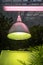 Phyto lamp for plant growth in cold season in greenhouse. Artificial lighting of plant in glasshouse